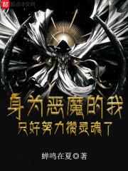 身为恶魔的我只好努力攒灵魂了封面