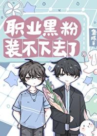 职业黑粉装不下去了封面