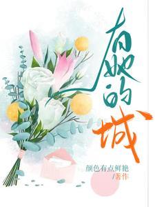 有她的城封面