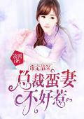 缘定情深：总裁蛮妻不好惹封面