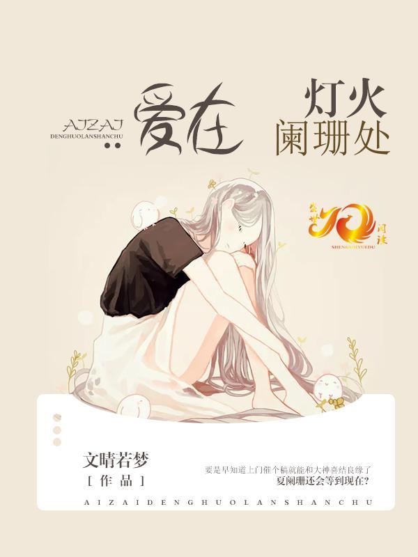 爱在灯火阑珊处封面