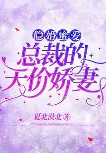 隐婚蜜爱：总裁的天价娇妻封面