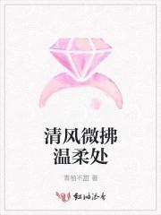 清风微拂温柔处封面