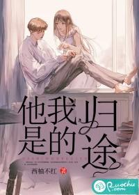 他是我的归途封面