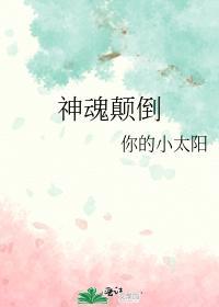 神魂颠倒封面