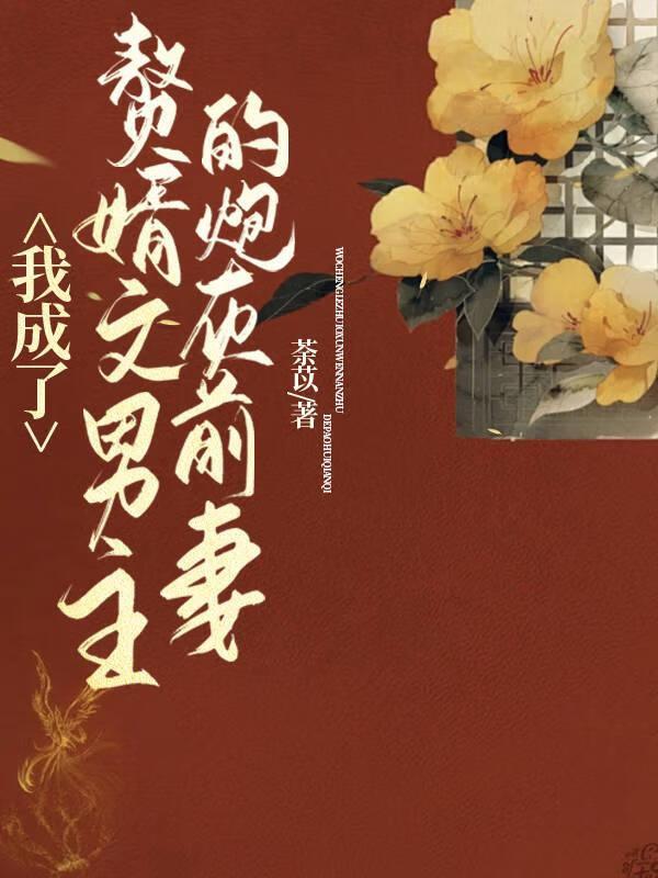 我成了赘婿文男主的前妻封面