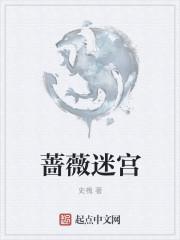 蔷薇迷宫封面