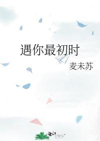 遇你最初时封面