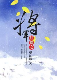 红楼之将军封面