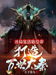 赢子夜穿越秦朝成皇子的封面