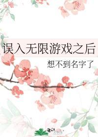 误入无限游戏之后封面