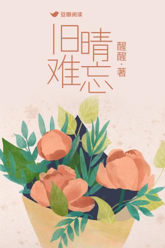 旧晴难忘封面