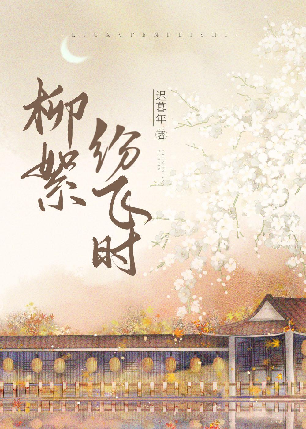 柳絮纷飞时封面