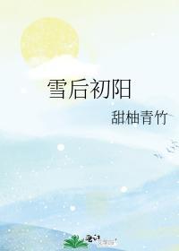 雪后初阳封面
