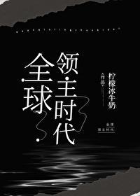 全球领主时代封面