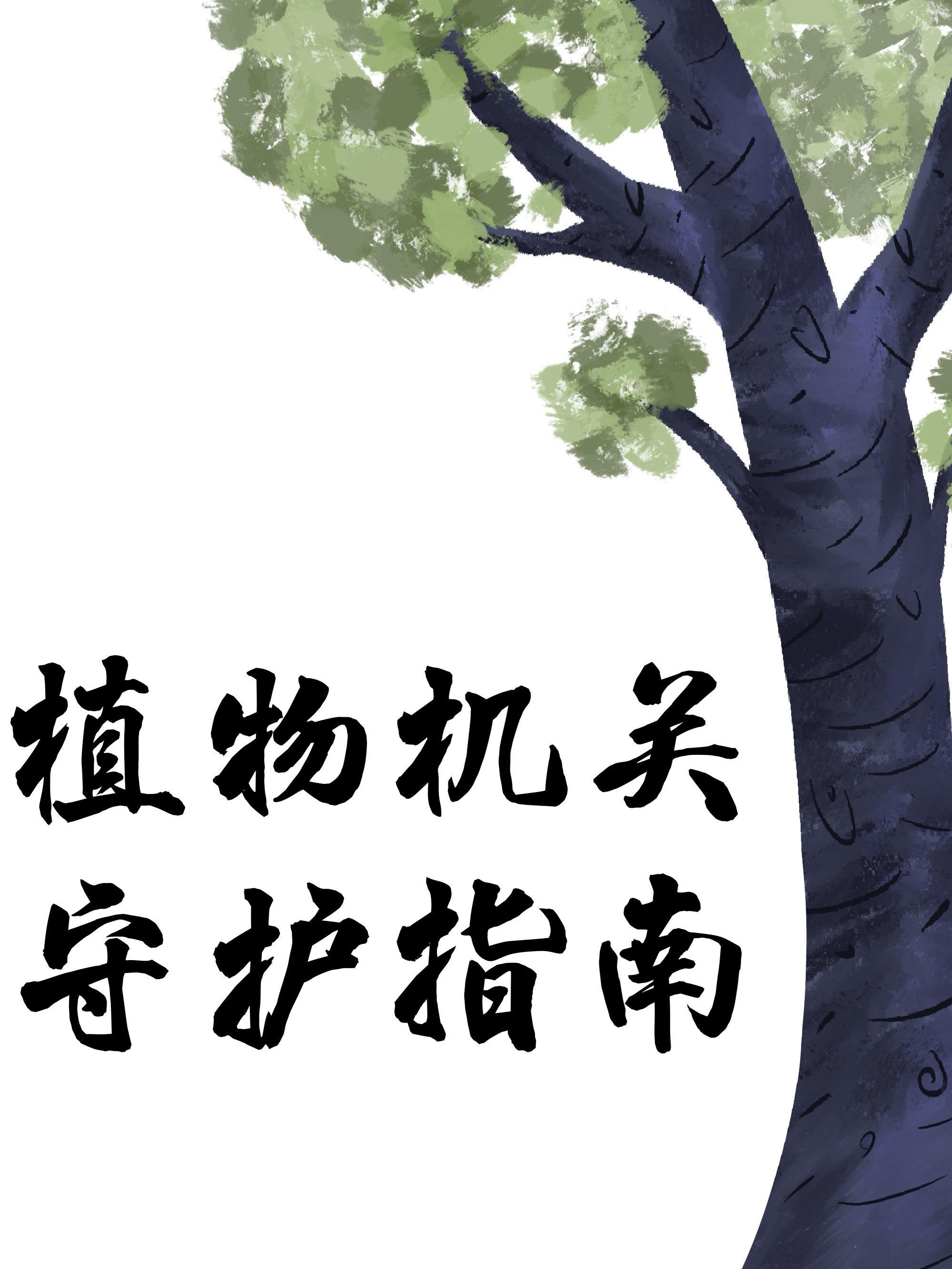 植物机关守护指南封面