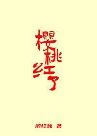 樱桃红了封面