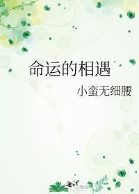 命运的相遇封面