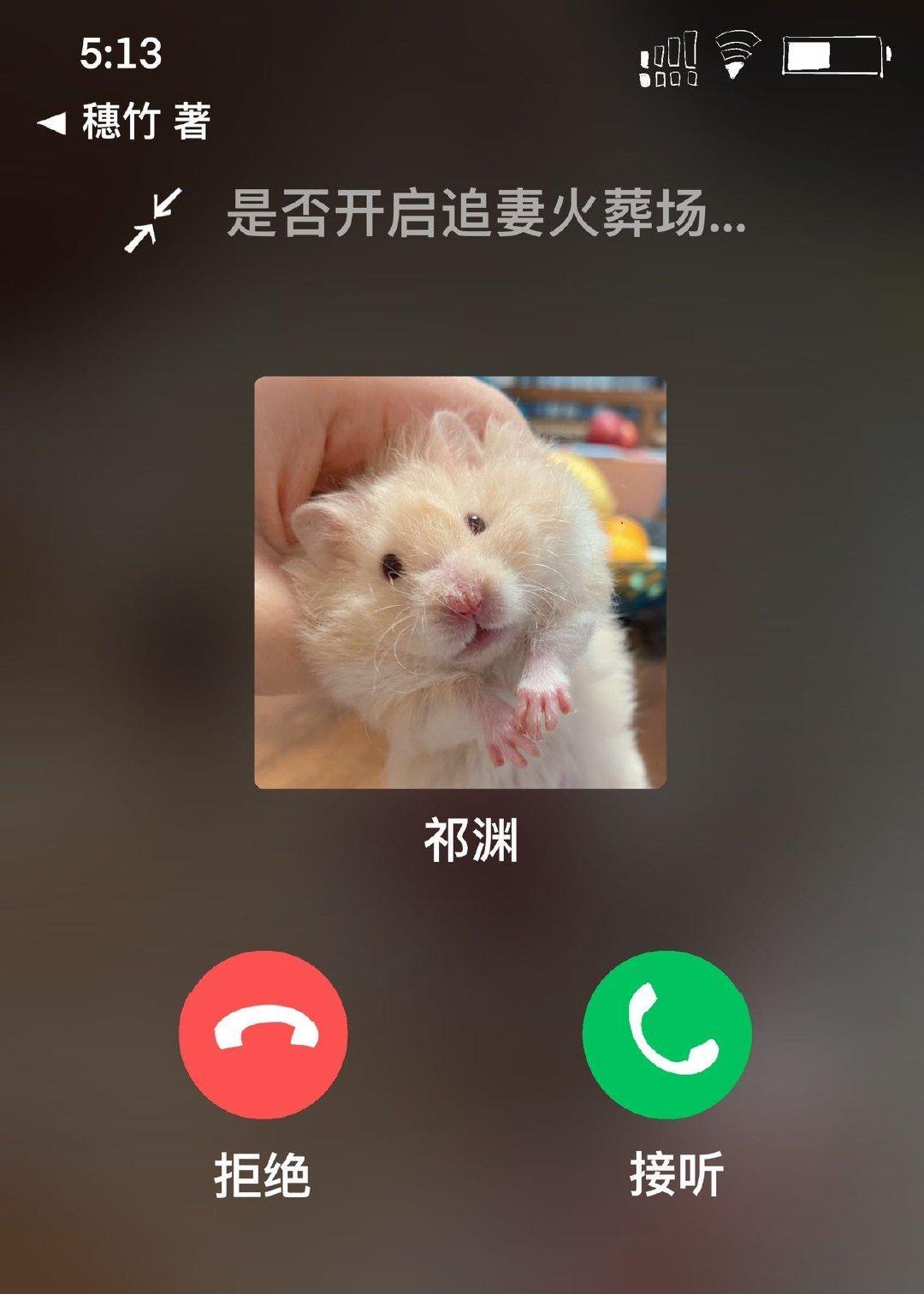虐文霸总穿成女主的仓鼠后封面