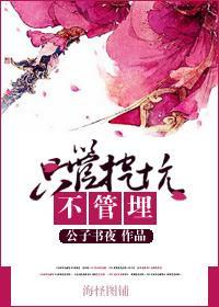 只管挖坑不管埋封面