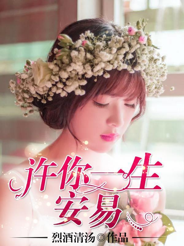 许你一生安易封面