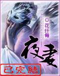 夜妻封面