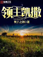 领主凯撒封面