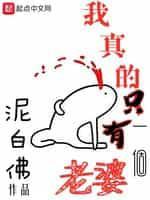 我真的只有一个老婆封面