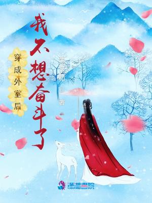 穿成外室后我不想奋斗了封面