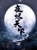 夜烬天下封面