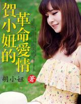 贺小妞的革命爱情封面