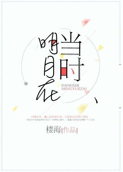 当时明月在封面