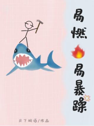 易燃易暴躁封面