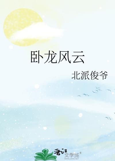 卧龙风云封面
