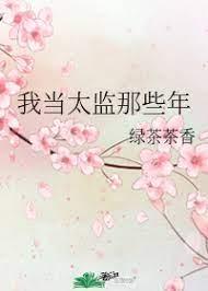 我当太监那些年封面