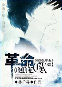 星际OMEGA反击战封面