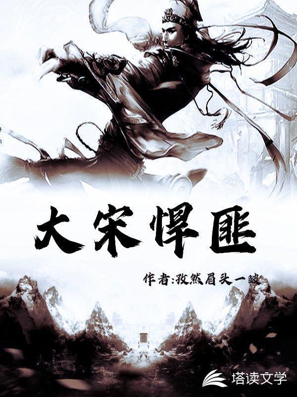 大宋悍匪封面