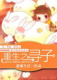 重生之寻子封面
