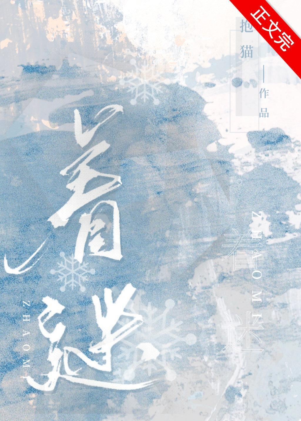 着迷封面