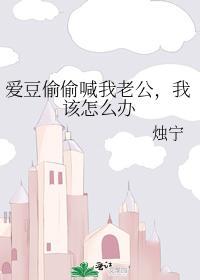 爱豆偷偷喊我老公，我该怎么办封面