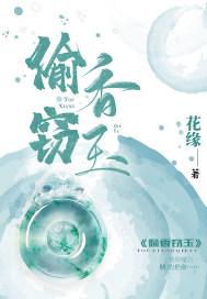 偷香窃玉封面