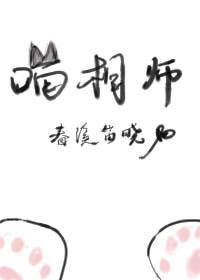喵相师封面