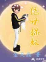 绝世猫奴封面