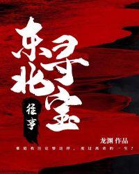 东北寻宝往事封面