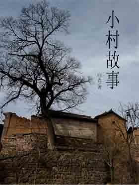 最后一位童养媳:小村故事封面