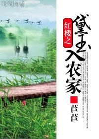 红楼之黛玉入农家封面
