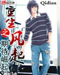 重生之风起封面