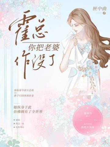 霍总你把老婆作没了封面