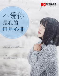 不爱你，是我的口是心非封面