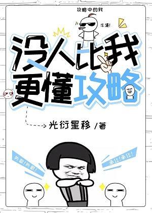 没人比我更懂攻略！封面
